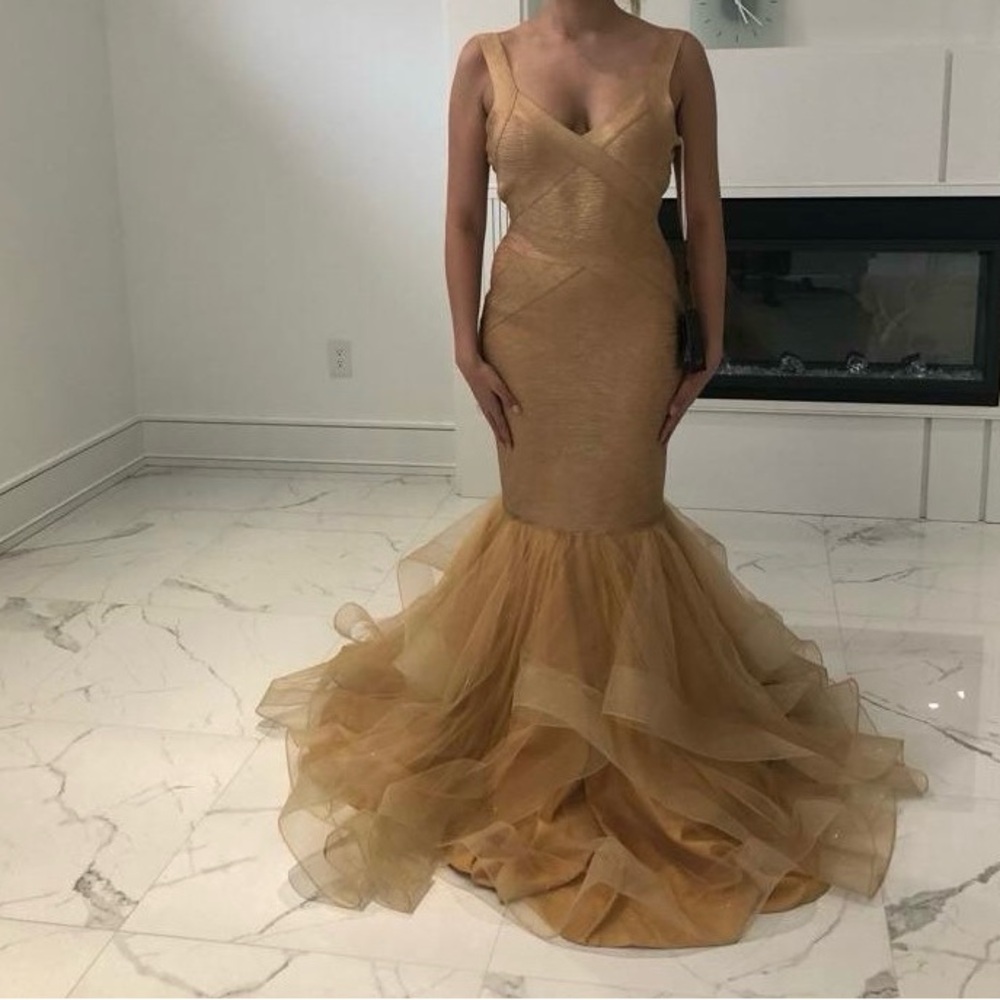 Brand new Terani dress medium size( Gown )
